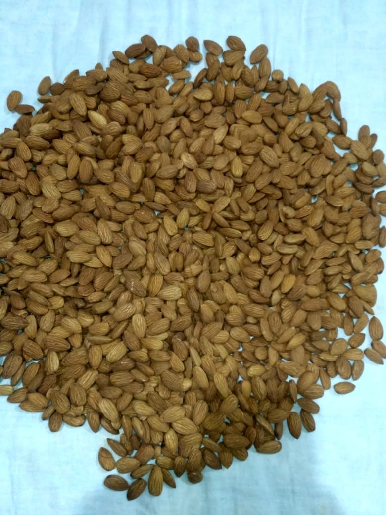 Kashmiri Almond Kernels Badam Giri Kg Kashmir Online Shopping