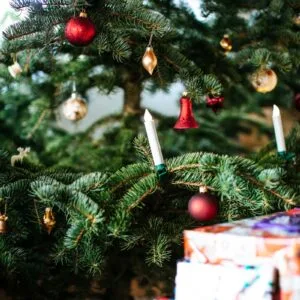 red and white gift box on green christmas tree