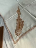 Tilla Work Semi Pashmina Shawl in Beige Colour #2